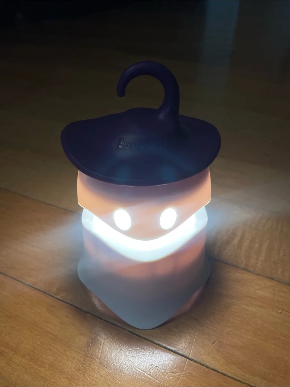 Everbrite Halloween Ghost LED Lantern - Purple & White -